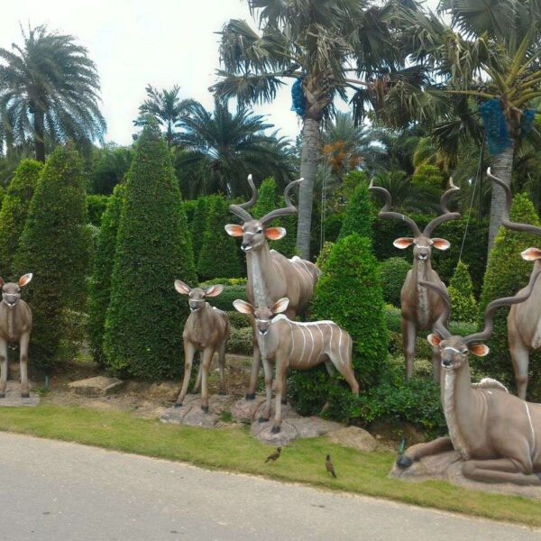 African Deer Kudu