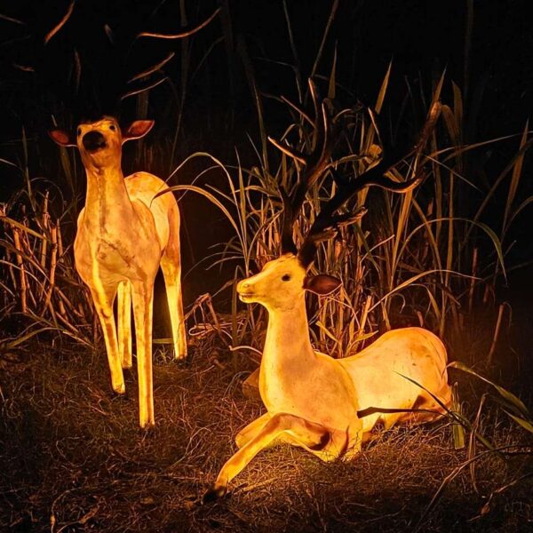 FRP Deer with Light