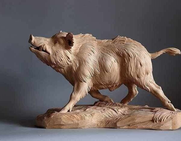 Wild boar Jungli suwar