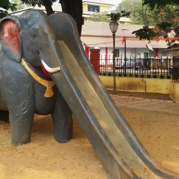 Elephant Slide