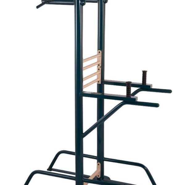 Pull Up & Dip Station